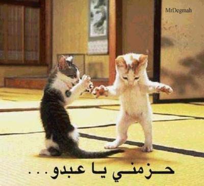 3abdo
